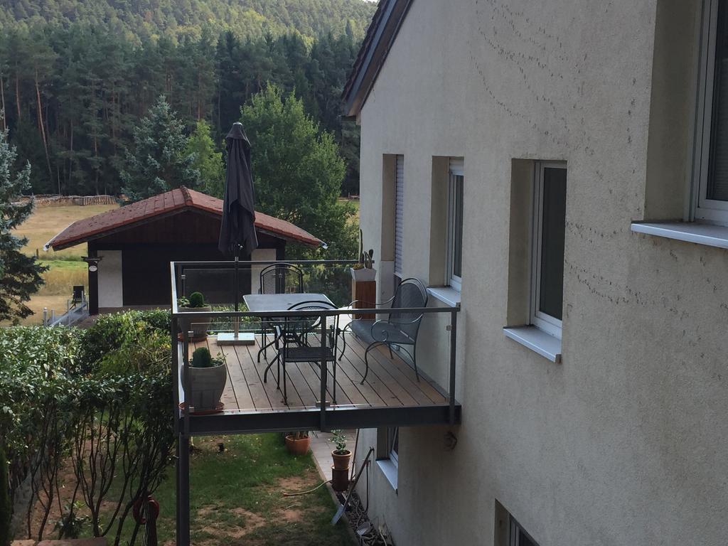 Fewo-Franca Dahn Exterior foto